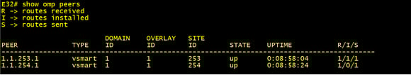 SDWAN command output taken from our WAN Edge “E32”