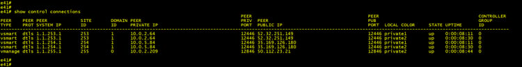 SDWAN show control connections command