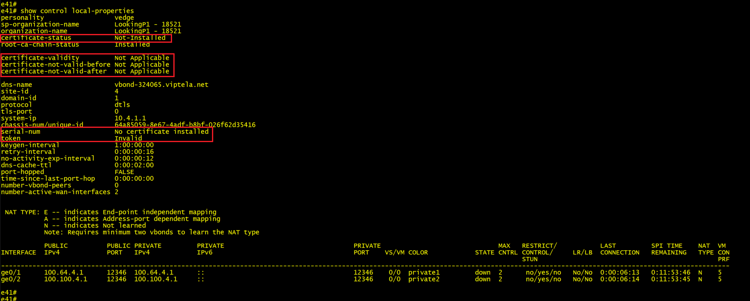 SDWAN show control local properties command