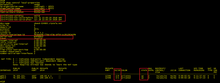 SDWAN show control local properties output