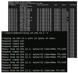 DHCP Hacking