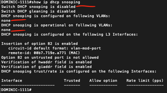 DHCP Hacking