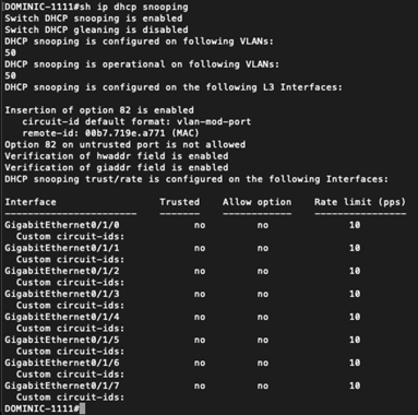 DHCP Hacking