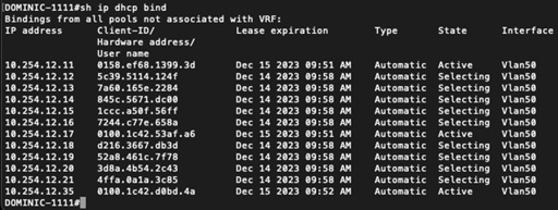DHCP Hacking