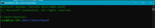 Do You Know How to WSL?