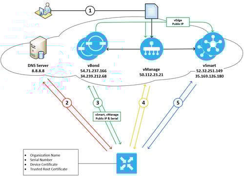 vedge 5 steps