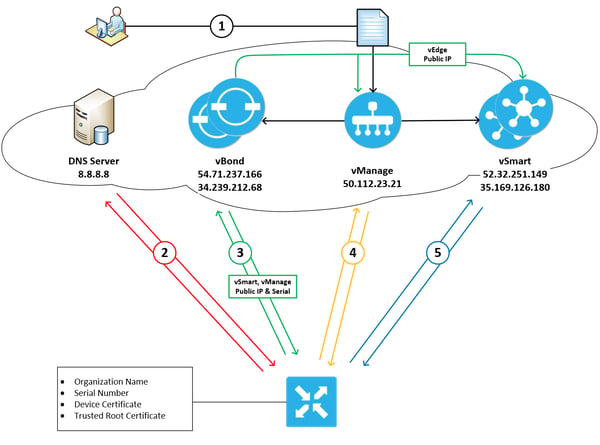 vedge 5 steps