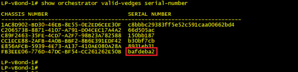 vedge serial numbres